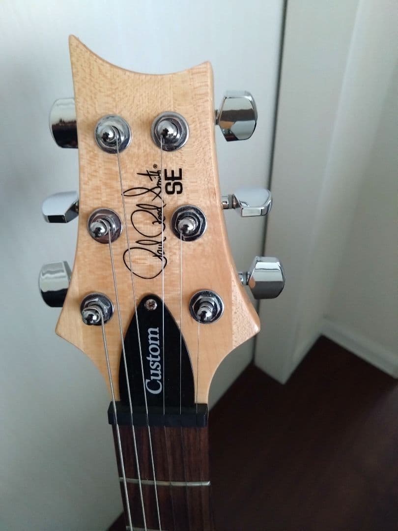 PRS custom24 SE グリーン ソフトケース付き