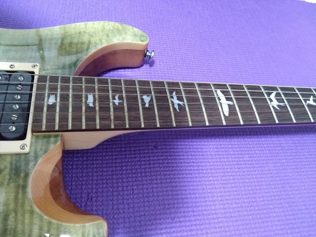 PRS custom24 SE グリーン ソフトケース付き
