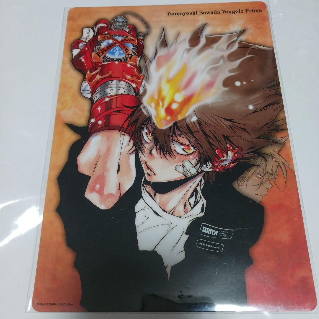 家庭教師ヒットマンREBORN!　沢田綱吉　獄寺隼人　両面下敷き　▲