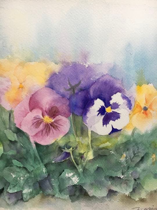 透明水彩原画パンジー春の花飾りA
