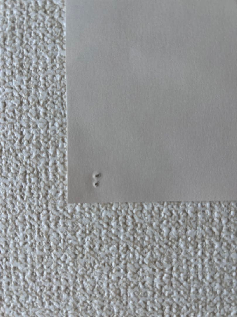 【おまけ付き】西脇一弘 noji+オリジナルポスター2025