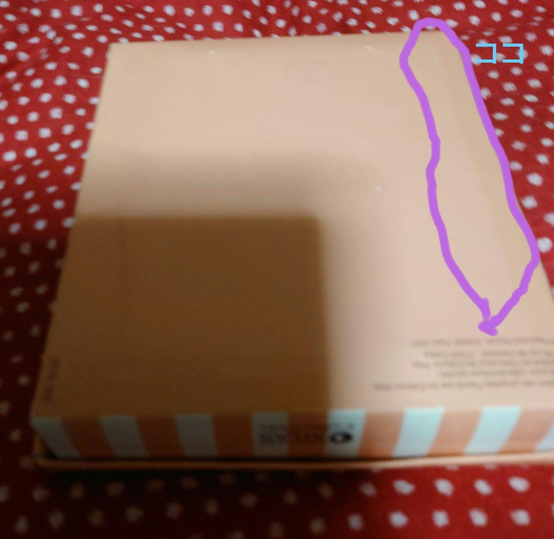 パリで購入❣️レイモンペイネ☆2007年度版人形☆初めての舞踏会とピエロのお友達