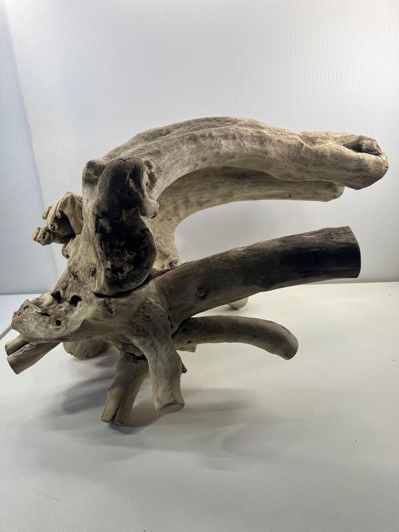 V64大型流木 アク抜き済み流木 爬虫類シェルター 登り木 インテリア 生け花