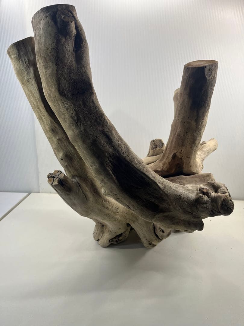 V64大型流木 アク抜き済み流木 爬虫類シェルター 登り木 インテリア 生け花