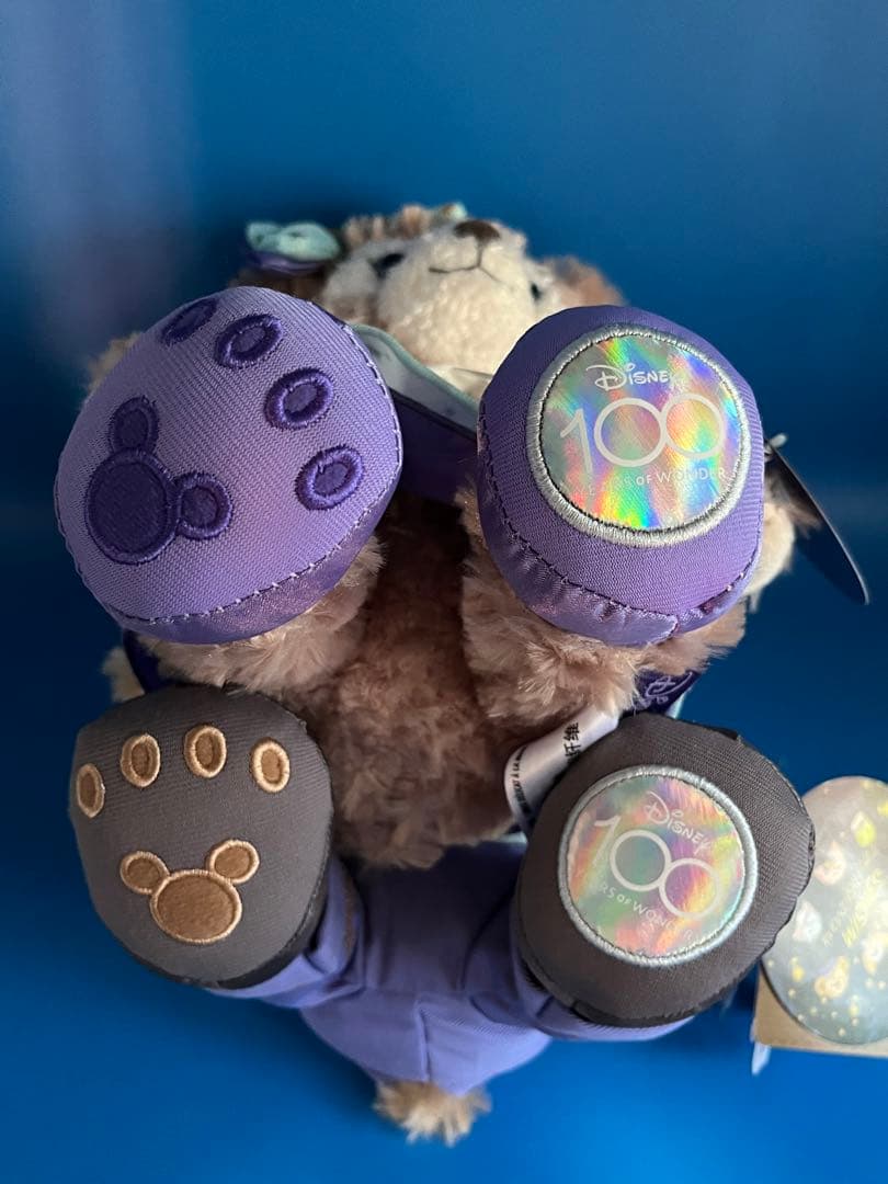 ダッフィー&シェリーメイぬいぐるみ　ディズニー　100周年　限定