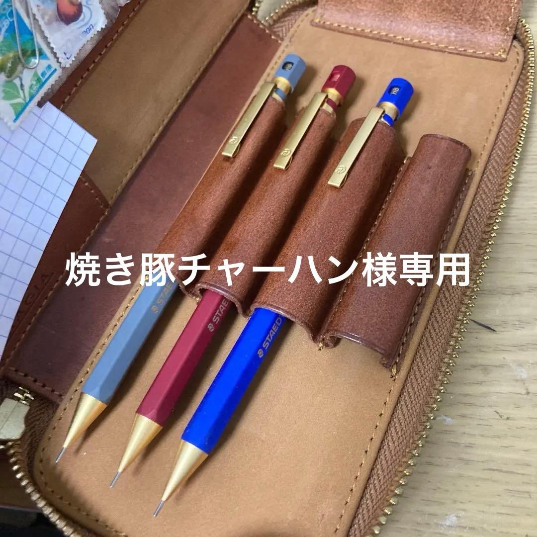 バハギアペンケース　ヘキサゴナルv1〜v3付き