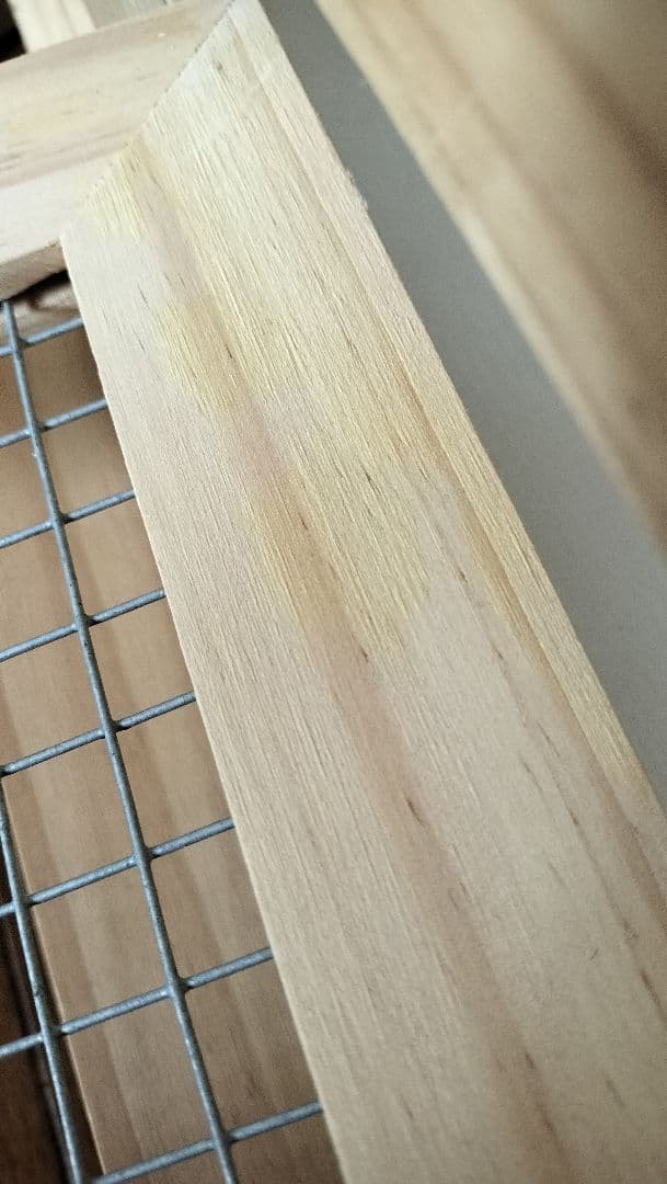 木製ケージ 大型 鳥かご　バードケージ　シマリス　フクロモモンガさんにも