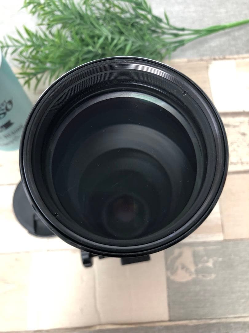 Nikon NIKKOR 300mm F4.5 望遠レンズ♪