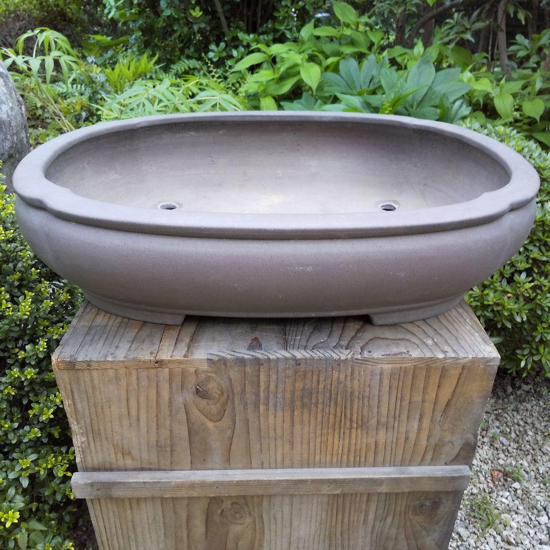 常滑焼 盆栽鉢 松柏類 大品『松下陶園』泥鉢 泥物 外縁 小判 隅入 袋形 切足