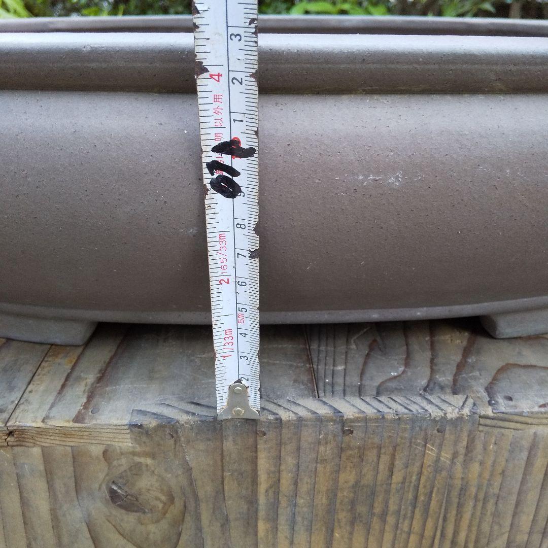 常滑焼 盆栽鉢 松柏類 大品『松下陶園』泥鉢 泥物 外縁 小判 隅入 袋形 切足