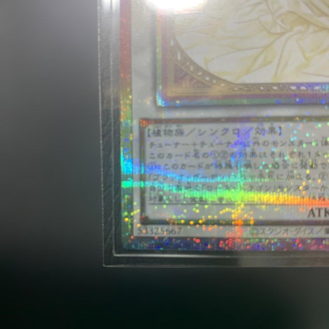 ガーデン・ローズ・メイデン　プリズマ　プリシク　遊戯王