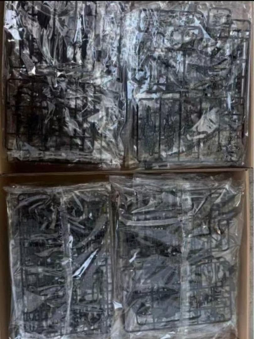 1/100ストライクフリダムガンダムブラック色(新品)