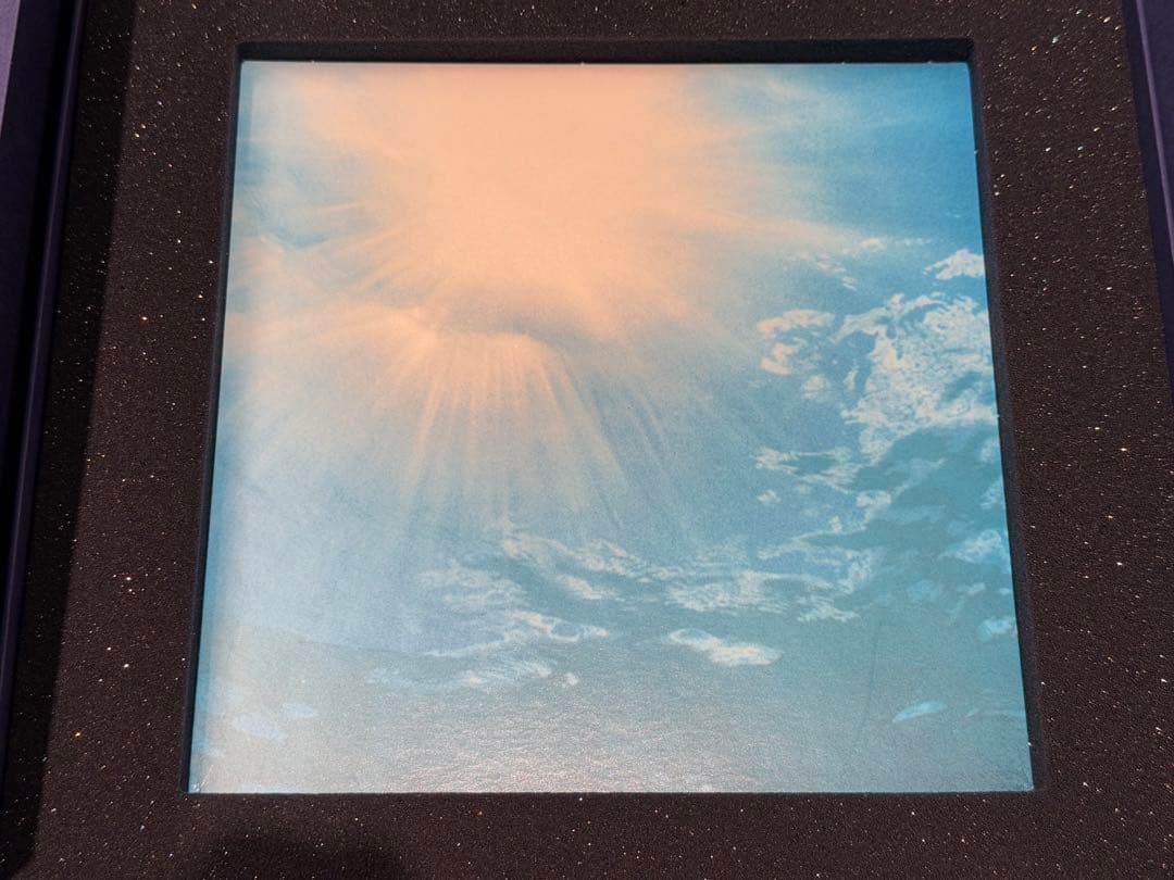 【アンとマサ】スワロフスキー 2005年 ハーモニー SCS限定