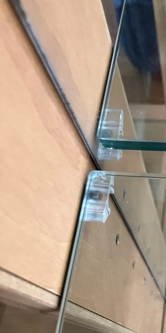 キュリオケース(ガラスケース) 日本製　ナチュラル(キャメル)