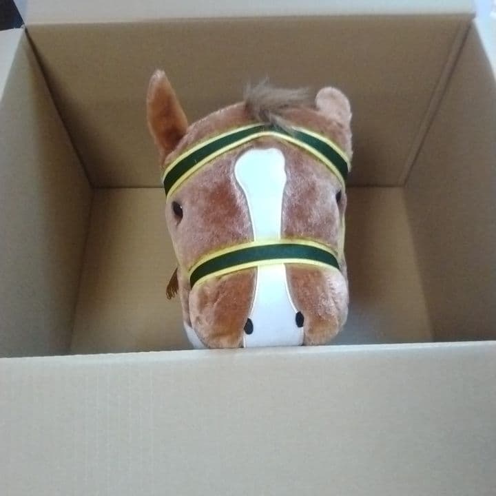 詰め放題　120サイズ