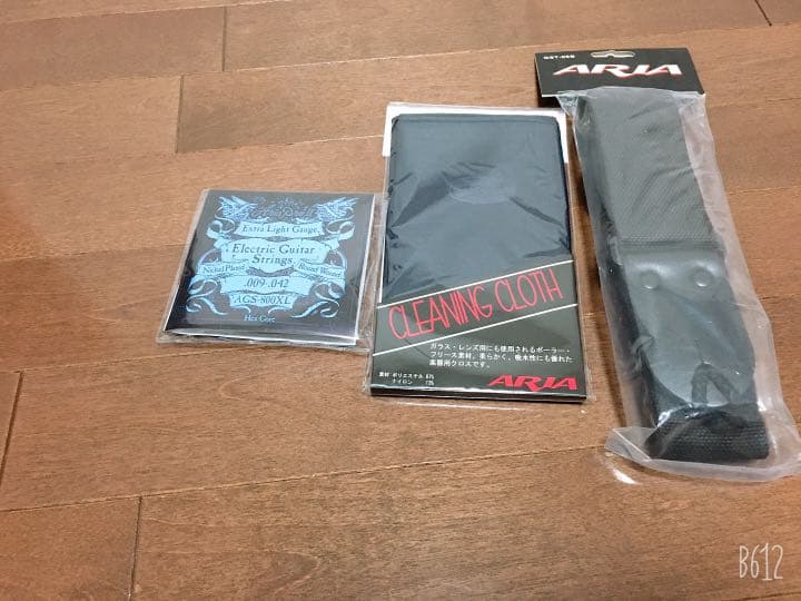 AriaProllエレキギター、カバー、アンプ、ピック、手入れ道具、シールド、本