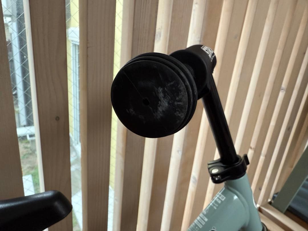 希少・美品！ストライダースポーツ　アイスブルー　ケース・プロテクター付き