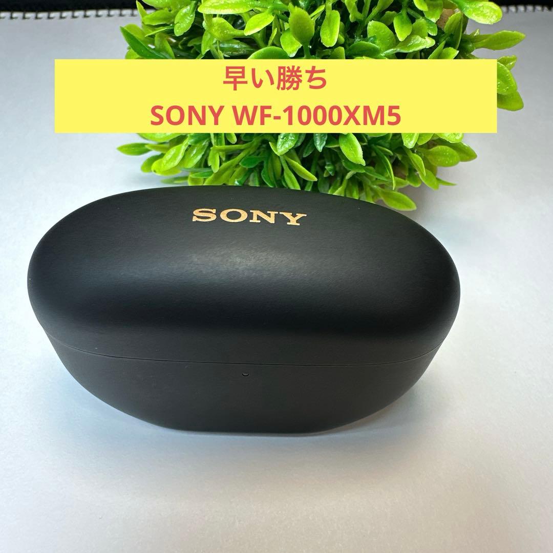 SONY WF-1000XM5 充電ケースのみ