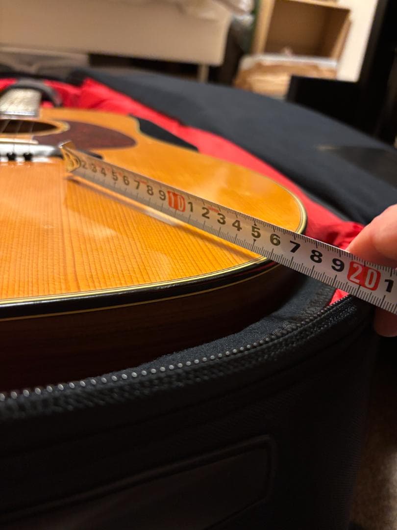 【新品、未使用】THE NORTH FACE ギターケース　150個限定