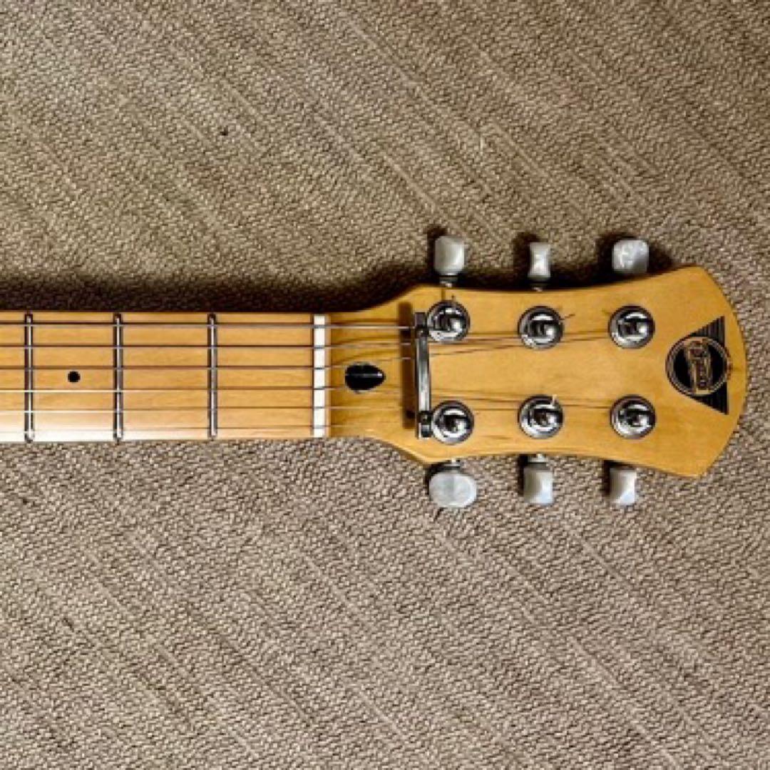 【美品】PIGNOSE ピグノーズ アンプ内蔵ミニギター