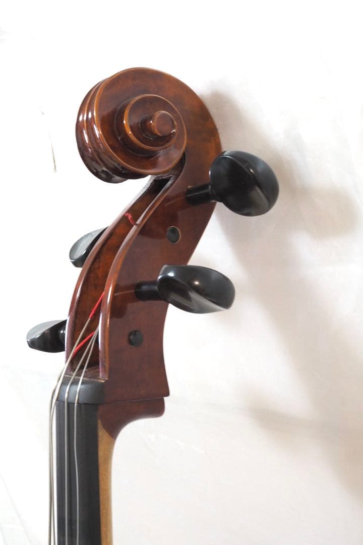 Carlo Giordano SC-240 チェロ カルロジョルダーノ