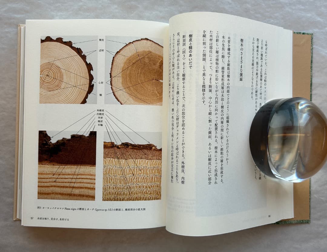 shiki）エルメス財団編『木』、2021年。