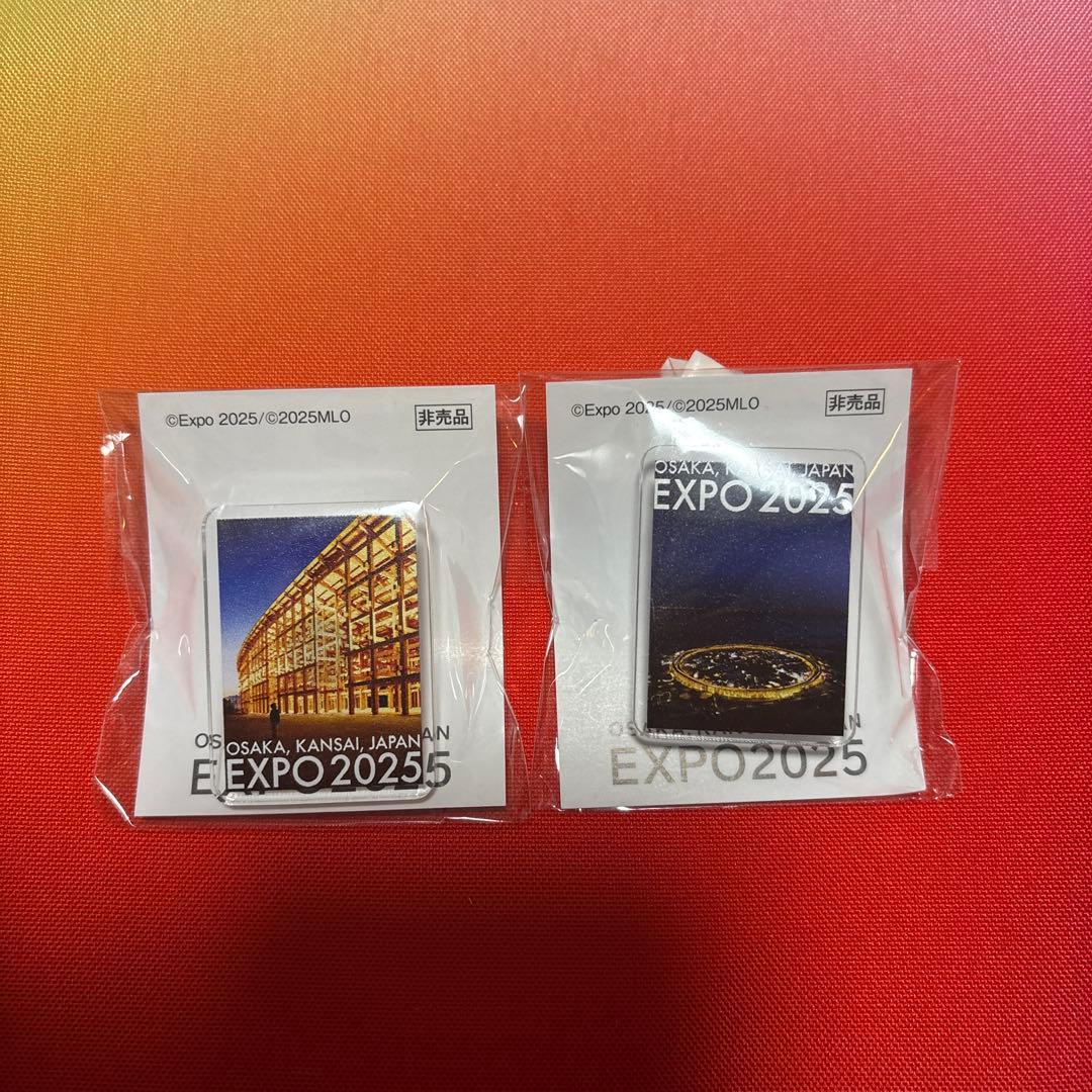 万博　大屋根リング　ピンバッジ　２個