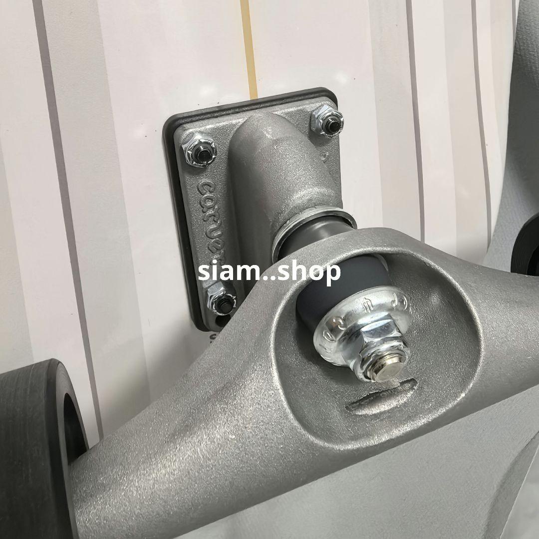 CARVER スケボー スケートボード コンプリート 32.5