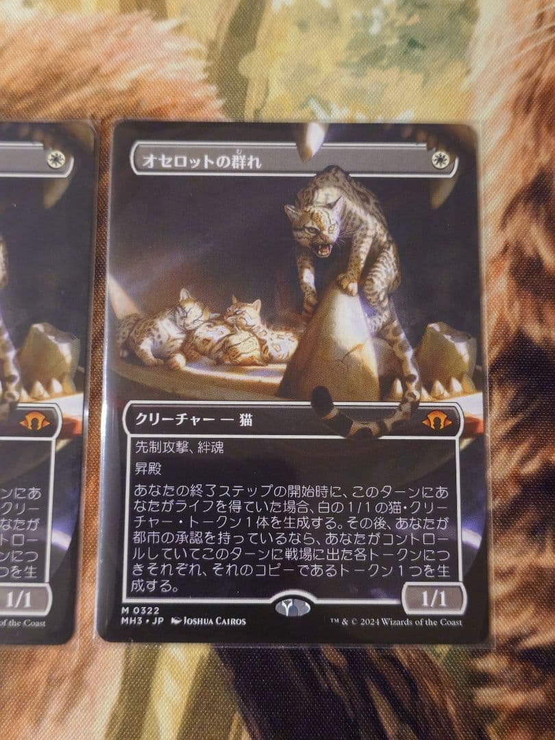 オセロットの群れ　ボーダーレス　2枚セット　日