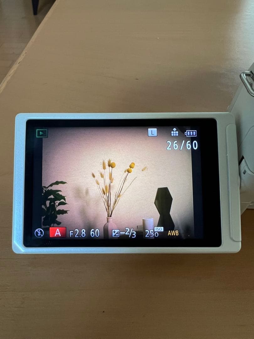 DMC-G5 ボディ ホワイト パナソニック LUMIX