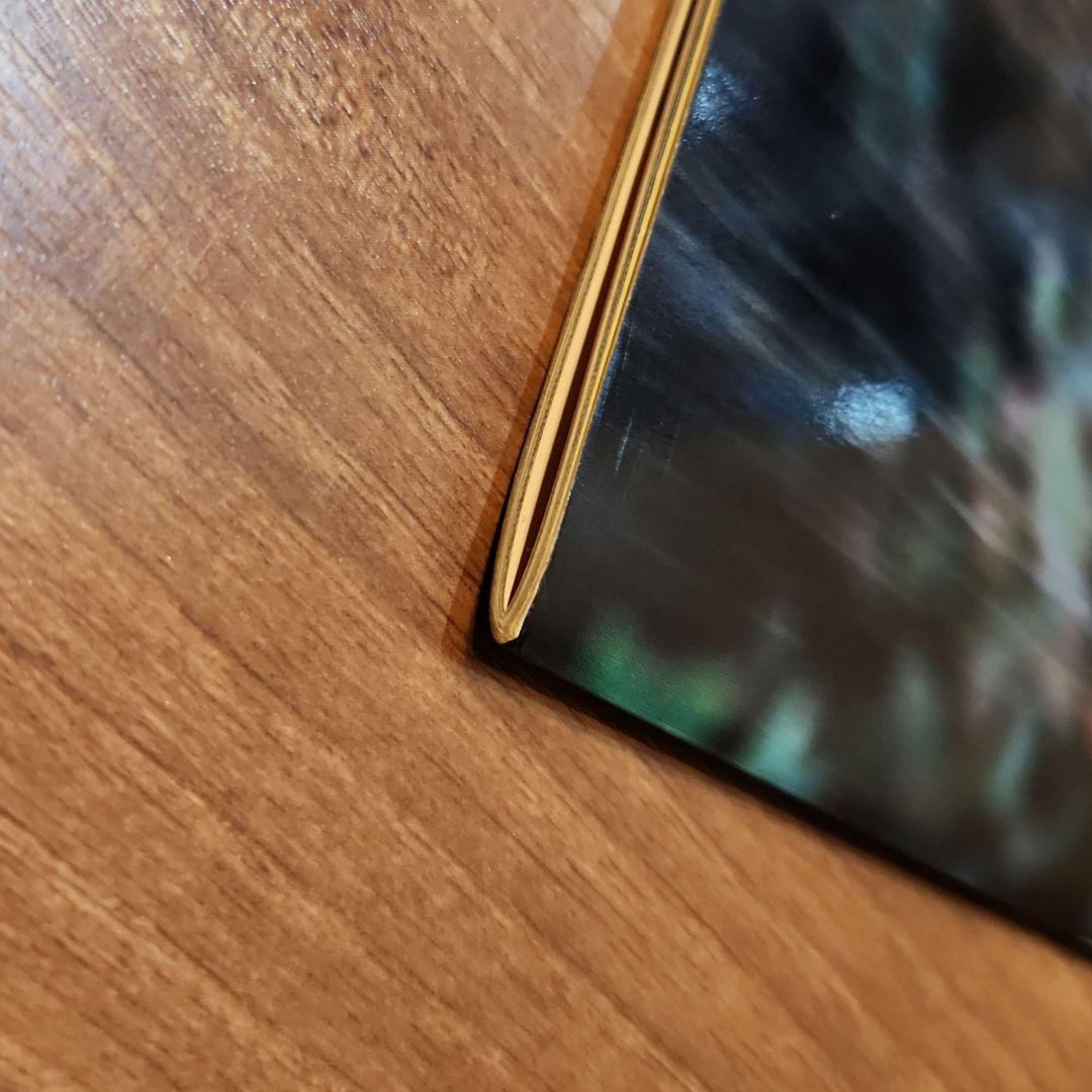 豊田真奈美　山田敏代　直筆サイン　写真集