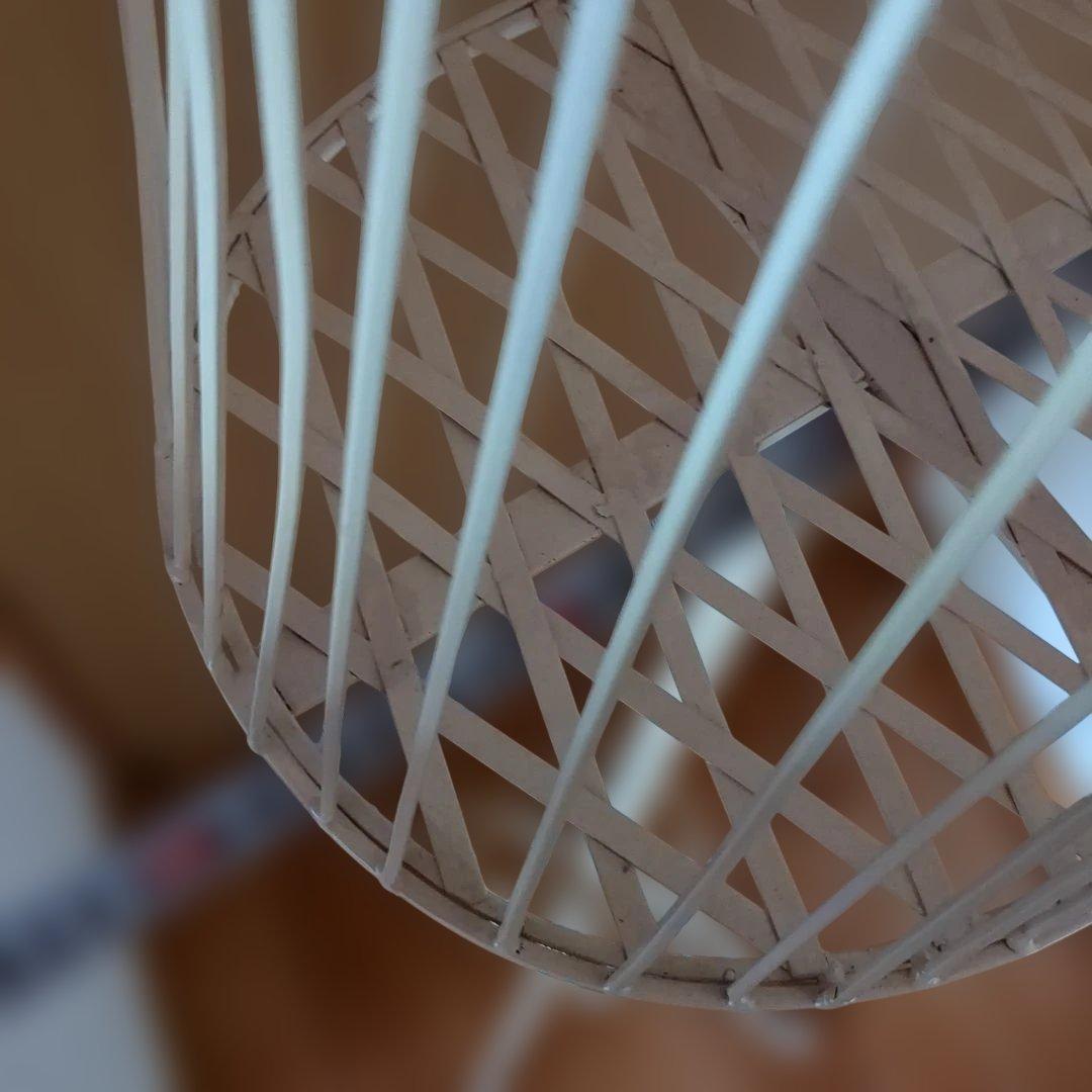 アイアン製レディーストルソー