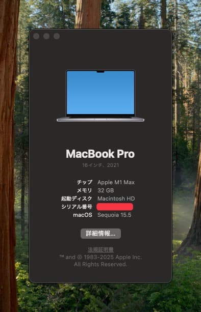 【画面不良】MacBook Pro M1MAX 32cGPU 32g 1T