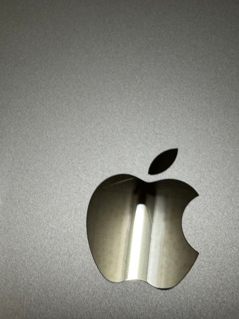 美品 MacBook Air M1 13インチ16GB 256GB