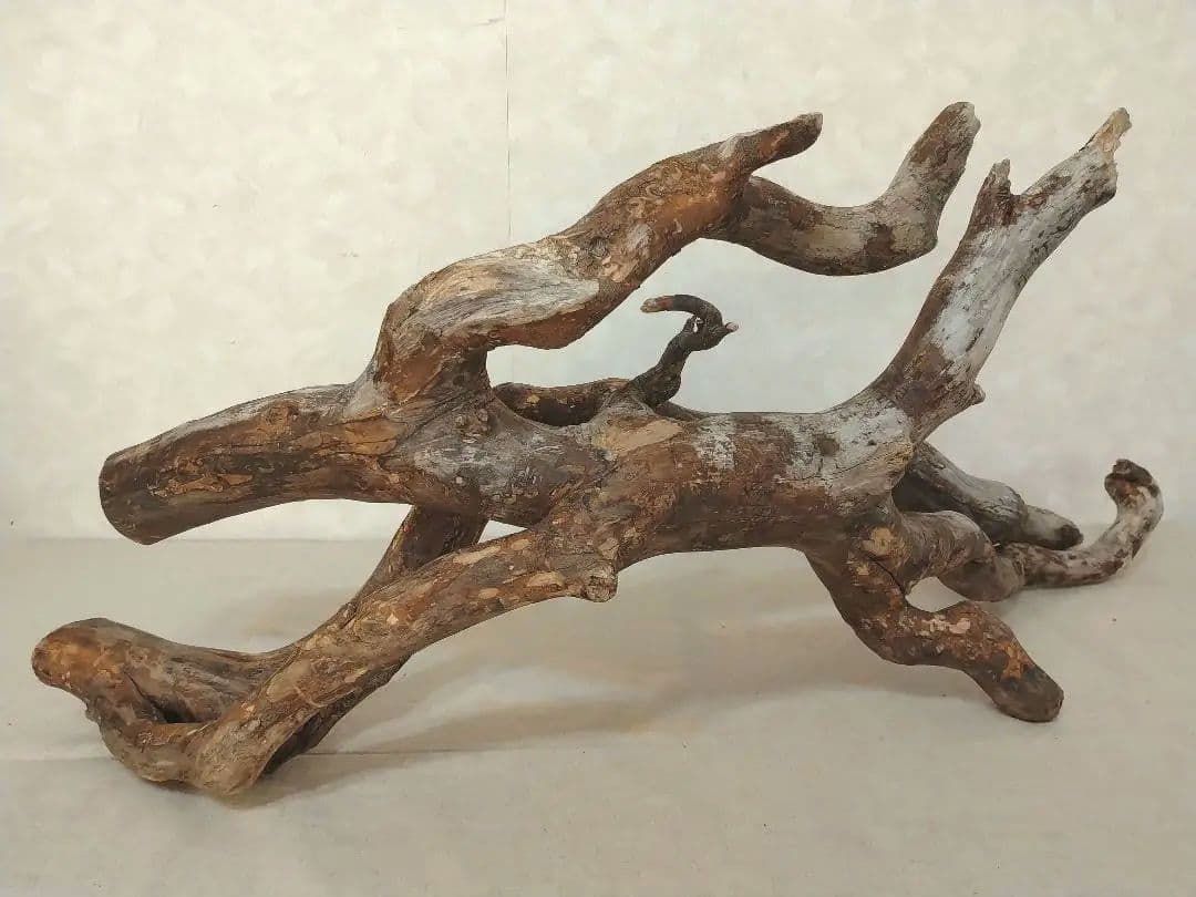 【超希少】アクアリウム・DIY向け 超特大塊根ブランチウッド流木 約80cm