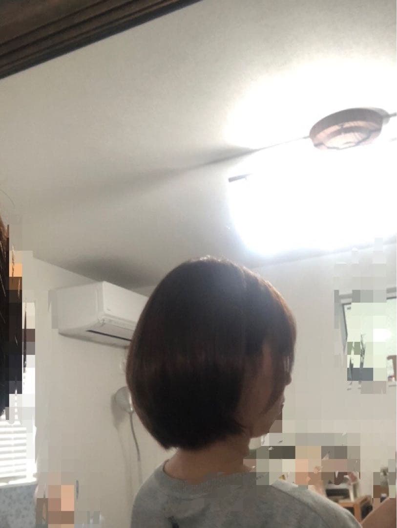 人毛100% ショートボブスタイル　ブラウン　未使用