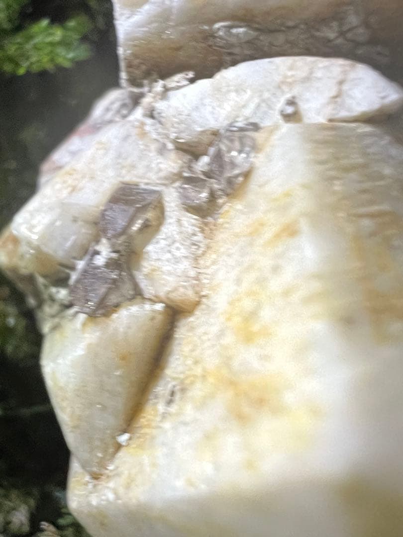 龍脈の精髄 九州産煙水晶＆長石共生標本 「大地と祓いの調和」【保護猫活動支援】