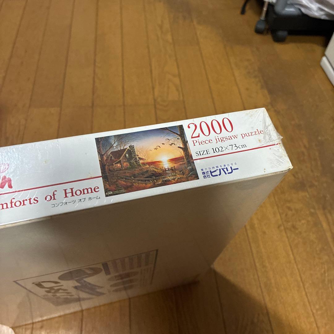 Buffalo Games ジグソーパズル テリー・レッドリン 自宅の快適さ