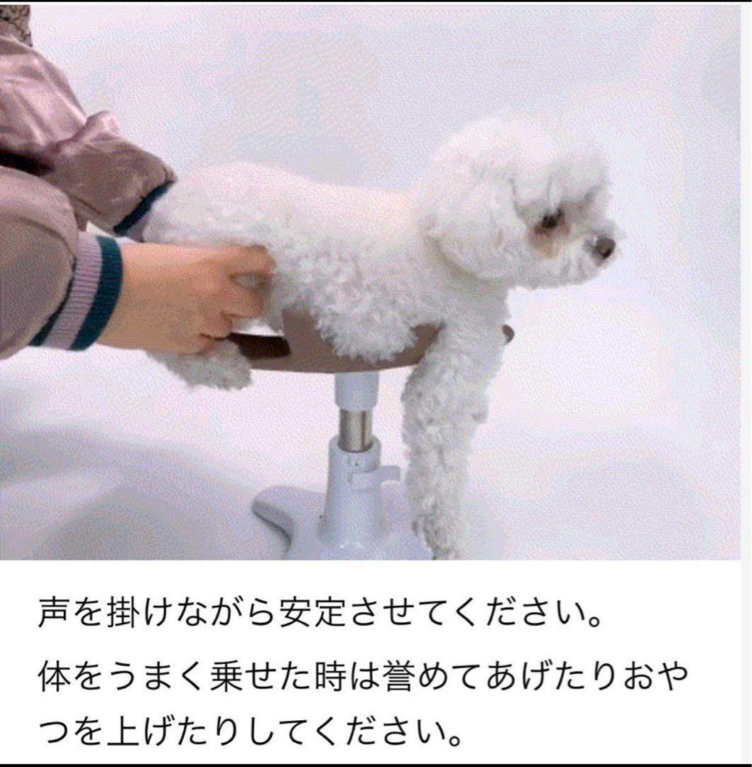 新品未開封未使用 Samson 小型犬用 グルーミングチェア