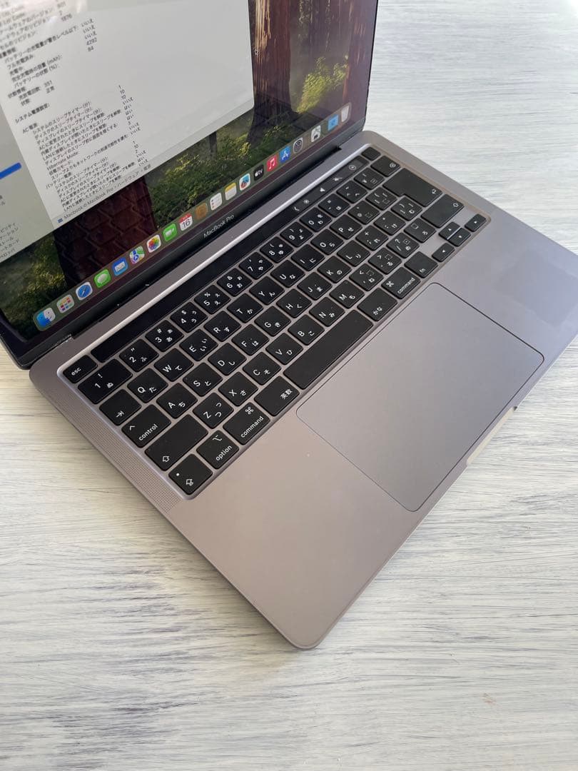 MacBook本体 MacBook Pro/16GB 1TB
