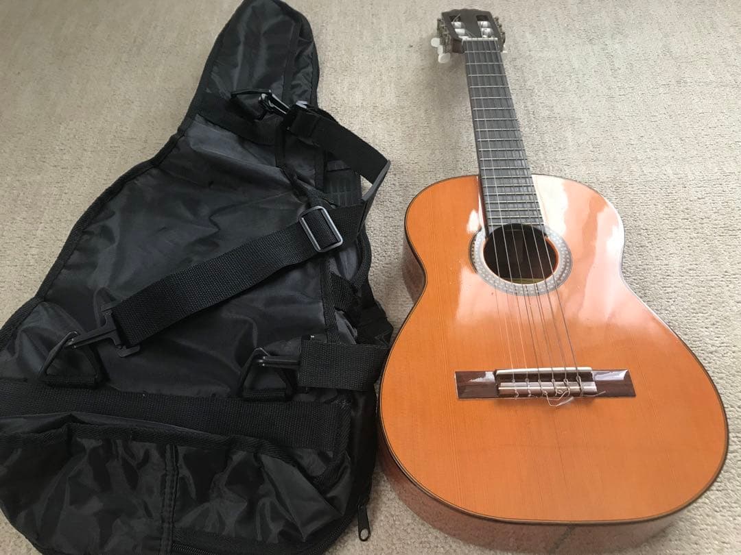 ARIA PEPE PS-48 Spain製　クラシックギター ソフトケース付き