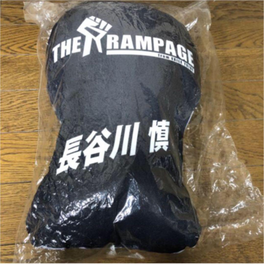 長谷川慎 初期クッション