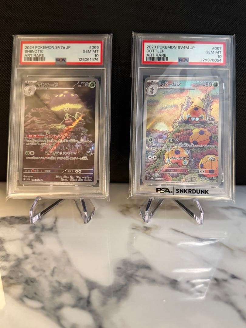 PSA10 レドームシ・マシェード