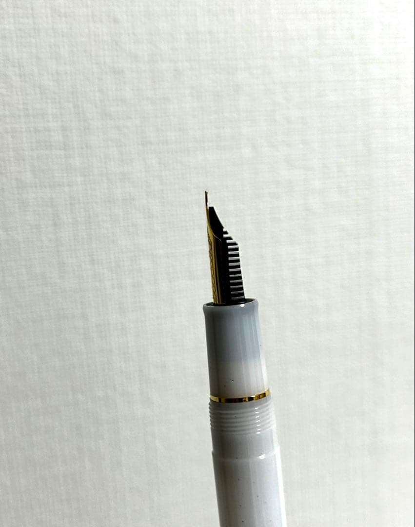 【美品】セーラー 万年筆 四季織 雪月空葉 EF