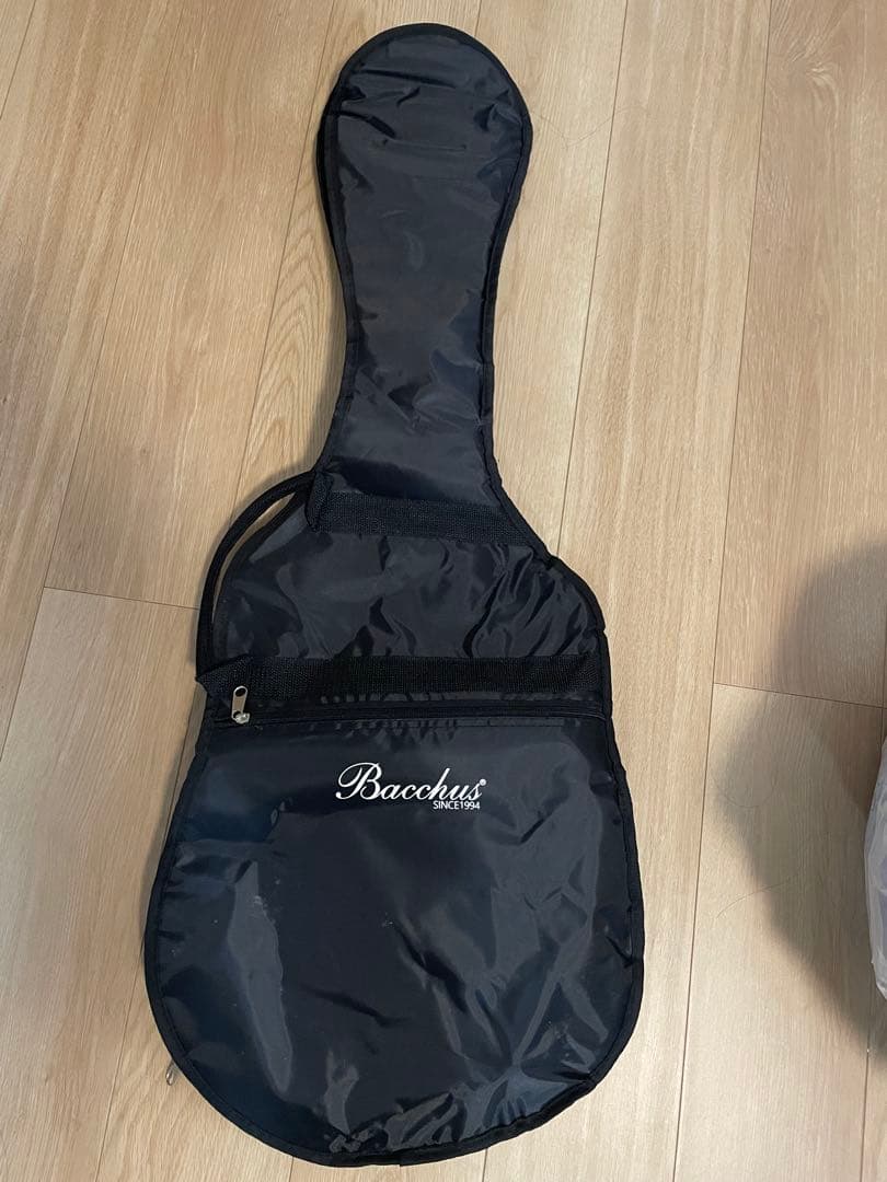 Bacchus BTW-TW NS バッカス オールローズ風 テレキャスター