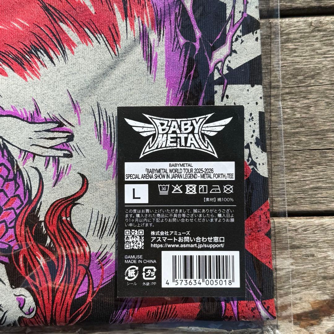 BABYL L FORTH TEE Tシャツ Lサイズ