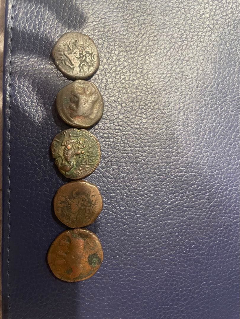 専用　古代 5枚セット