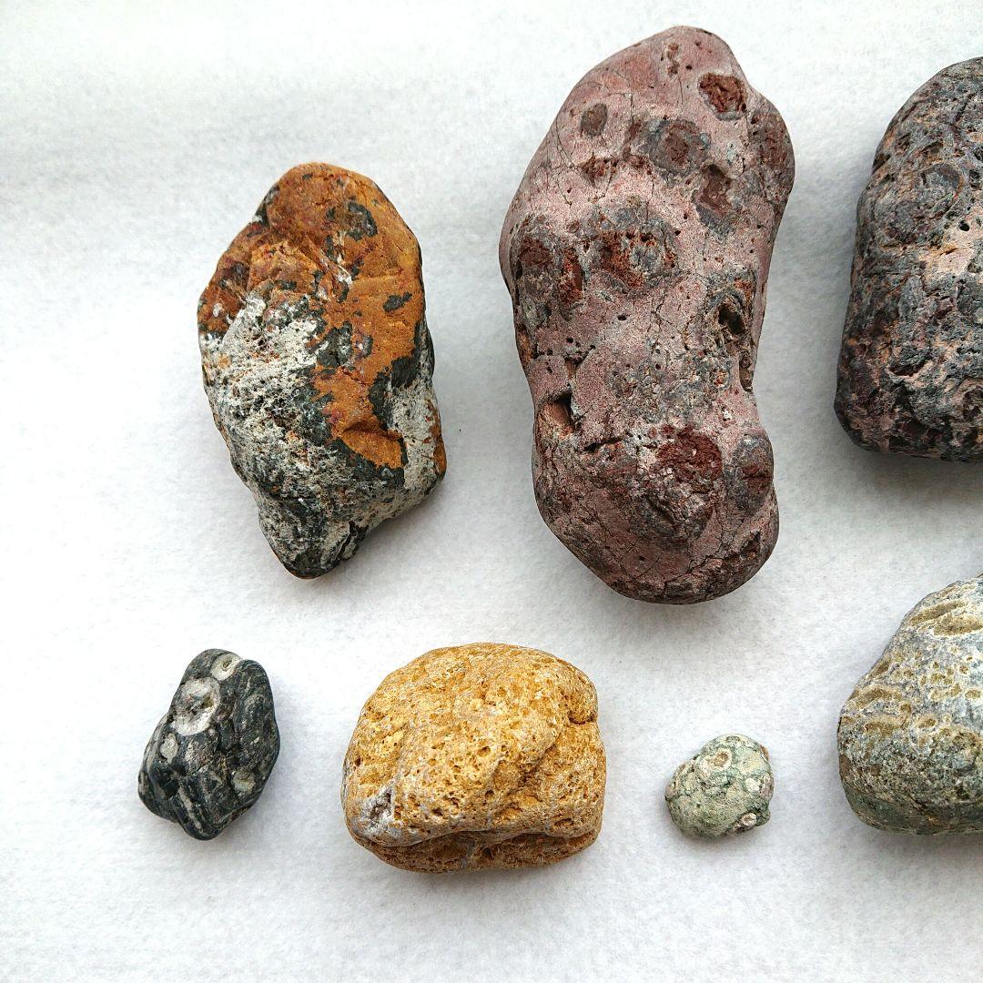 錦石 メノウ 球果流紋岩 青森産