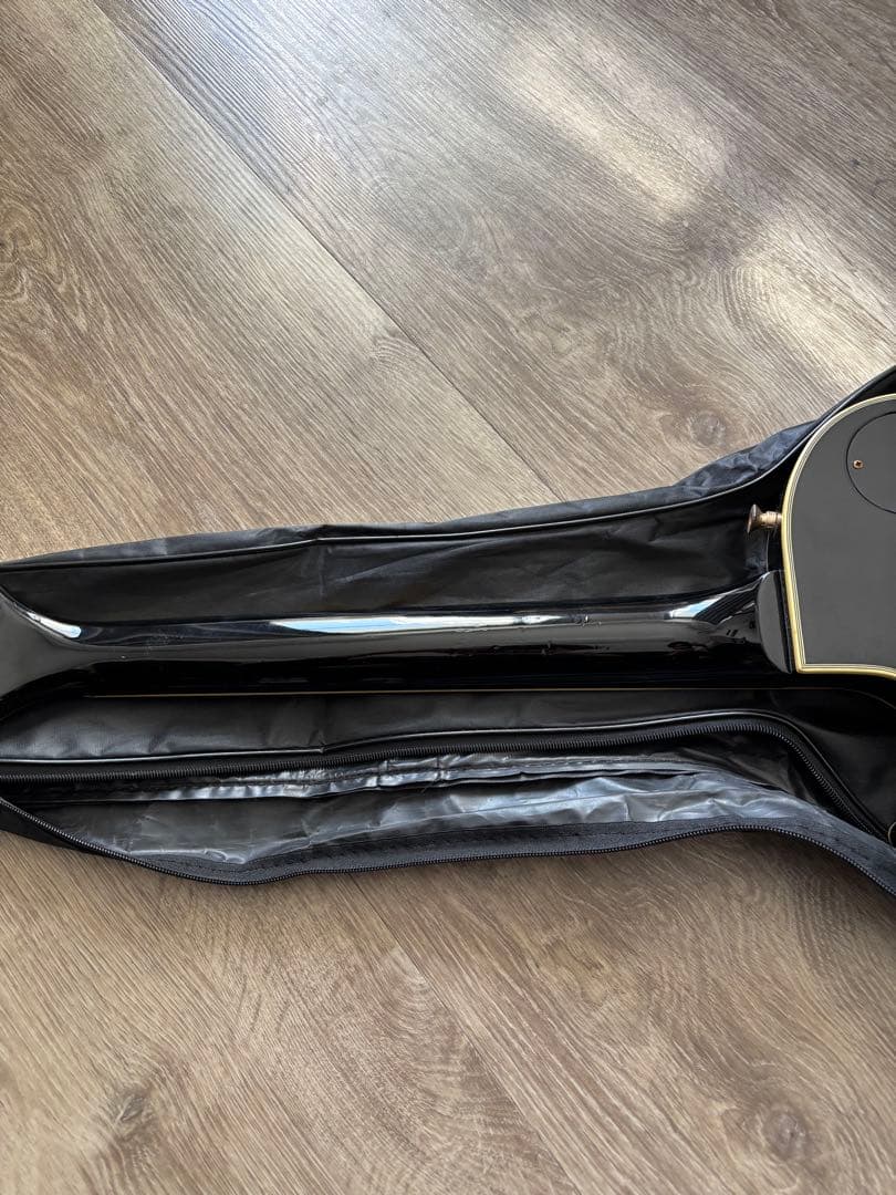 Bunny レスポールカスタム イナズマインレイ