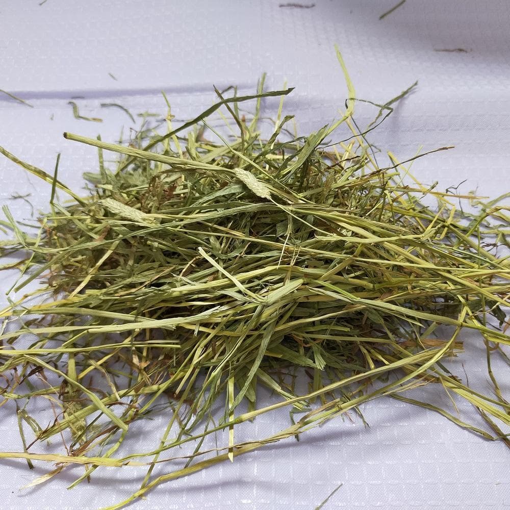 【2/9まで】US産 チモシー 30kg ２番刈り ソフトSプレミアム